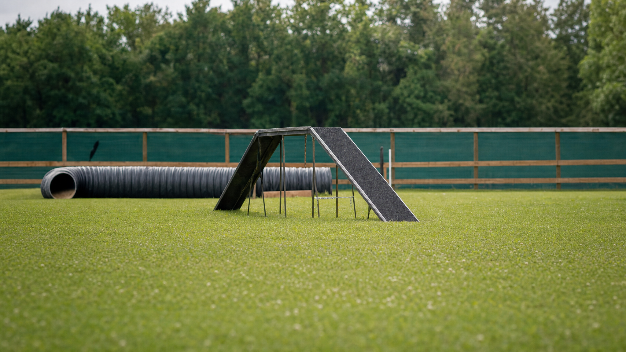 Dog School Training Field Set, Empty field light